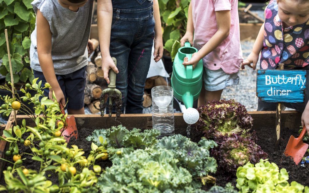 How Community Gardens Impact Communities