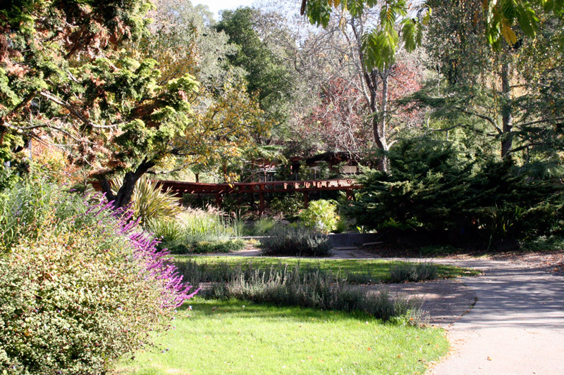 How Pari Continues With Patnum’s Parks and Open Space Charity Legacy